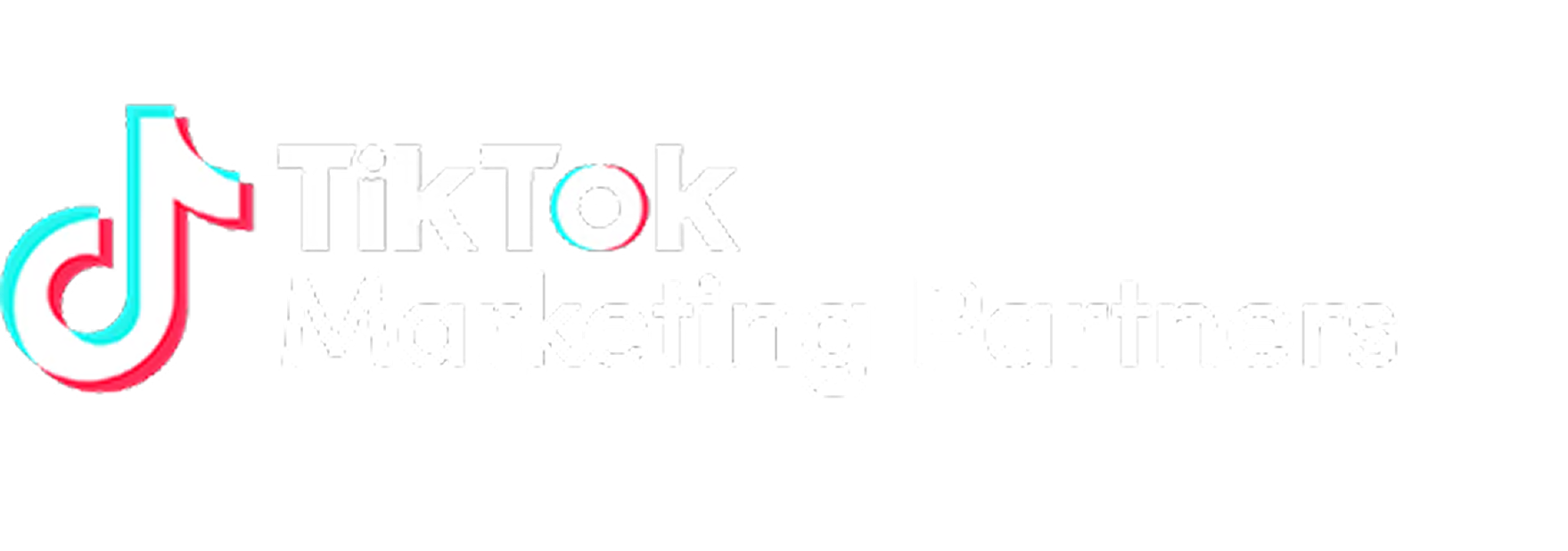 TikTok Marketing Partners